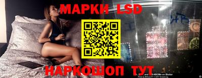 гидра Волгодонск