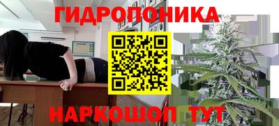 гидра Волгодонск