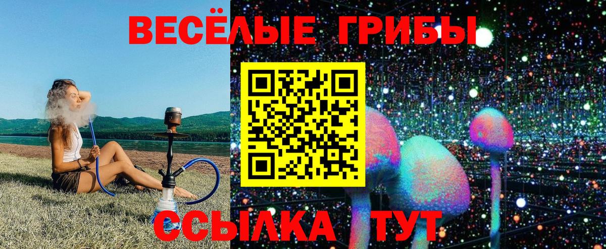 Чусовой  Галлюциногенные грибы Cubensis  Псилоцибиновые грибы GOLDEN TEACHER  Вход с VPN 