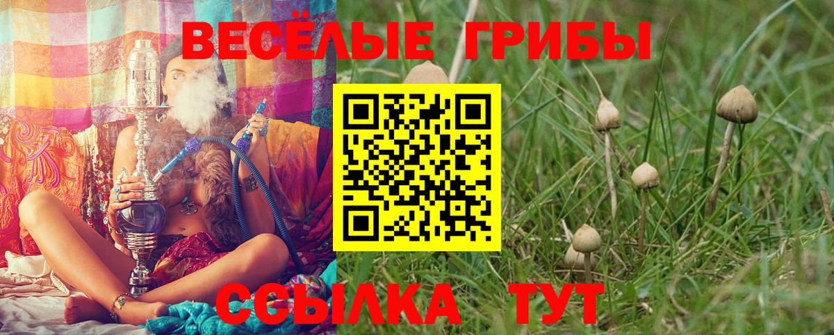 Псилоцибиновые грибы Magic Shrooms Чусовой