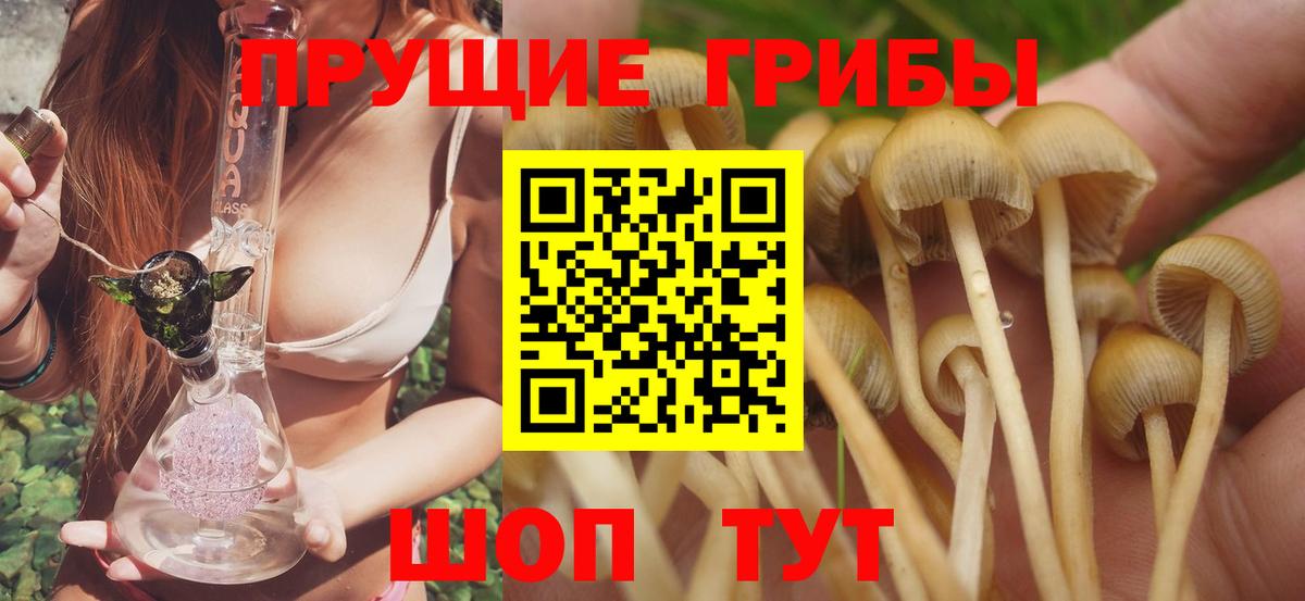 Псилоцибиновые грибы GOLDEN TEACHER  Галлюциногенные грибы мицелий  Чусовой 